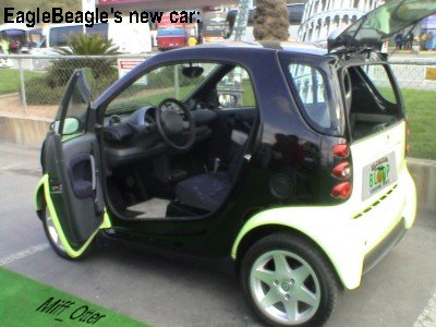 Miff_Otter-ebtinycar