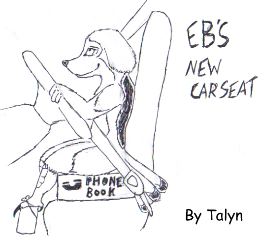 Talyn-EB_carseat