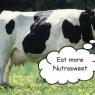 nutrasweet