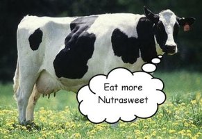 nutrasweet