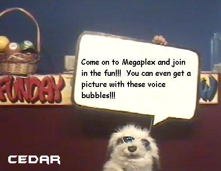 Cedar-Cedar_Artjam_3