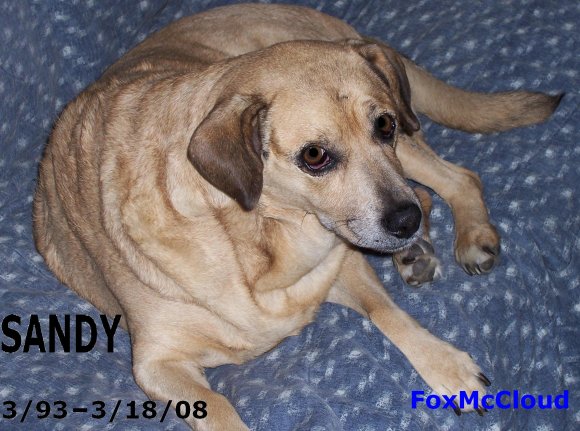 FoxMcCloud-100_0002Bs