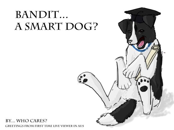 Gyukyen_Toddesauk-smart_bordercollie