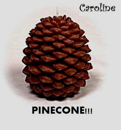 Caroline-pinecone