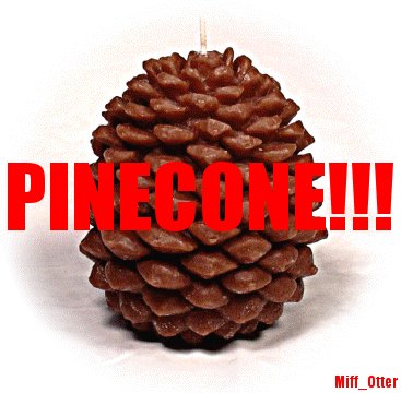 Miff_Otter-PINECONE