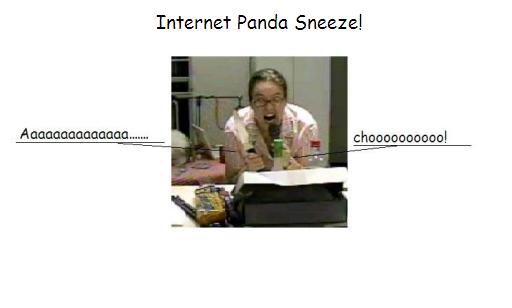 Felix_Unger-Anonymous-panda_sneeze_disp512