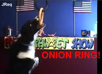 JReq-onionring