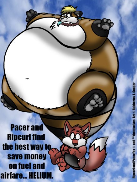 Rubbertex_Raccoon-RR-RipcurlAirtravel