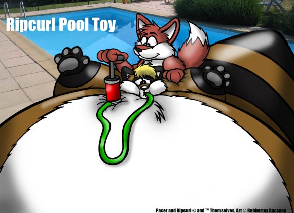 Rubbertex_Raccoon-RR-RipcurlPooltoy