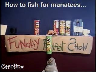 Caroline-hughpringles