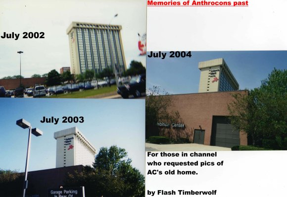 Flash_Timberwolf-Anthrocons_Past_copy