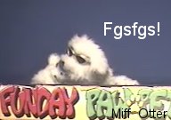 Miff_Otter-ezra_fgsfds2