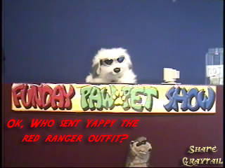 Shane_Graytail-YappyRangers