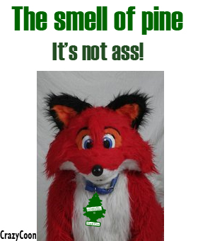 CrazyCoon-smellofpine