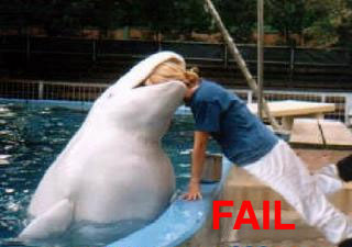 Anonymous-sea-world-fail
