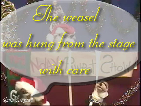 Shane_Graytail-xmaspoink