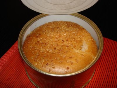 Anonymous-cheeseBurger3