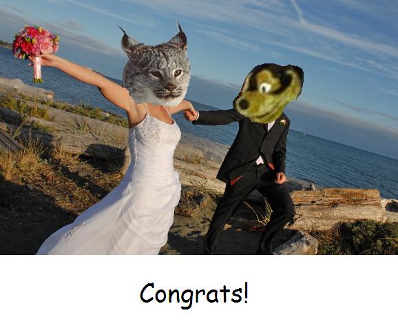 Anonymous-tasha_wedding