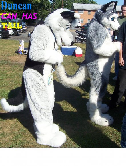 ScrubzyFox-duncan_can_has_tail