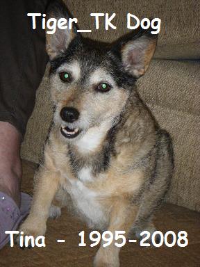 Tiger_TK-Tina