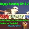 Glass_Ferret-HB_kp_jr