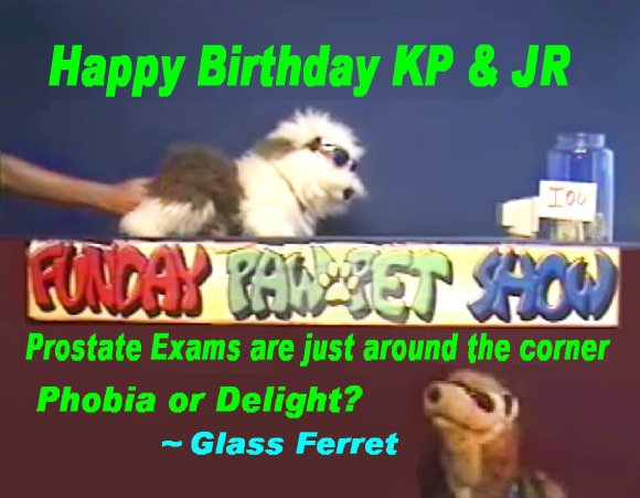 Glass_Ferret-HB_kp_jr