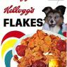 GarrisonSkunk-Corn_Flakes_Kellogg_s_200_grams_Original