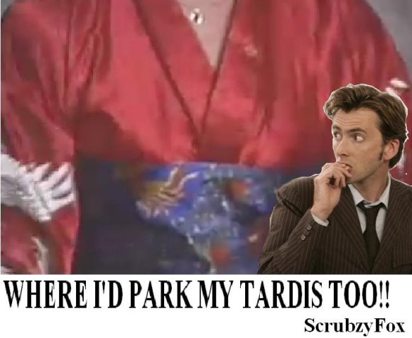 ScrubzyFox-tardis_parking