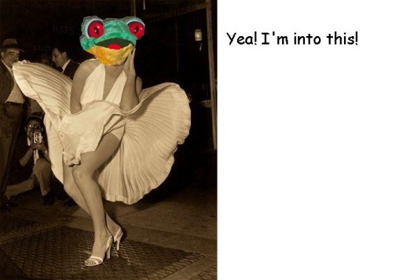 GarrisonSkunk-java_monroe