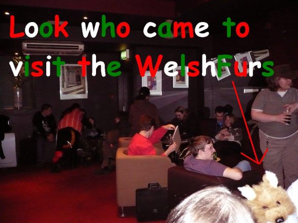 Sayre_Foxx-visitthewelshfurs