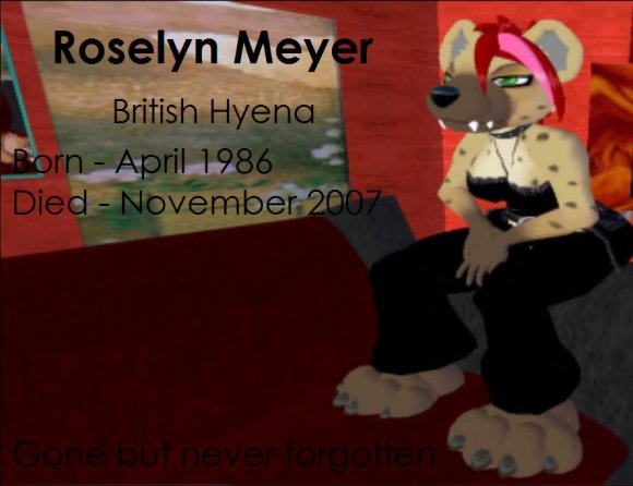Ikari_Yalter-Roselyn_Meyer_memory