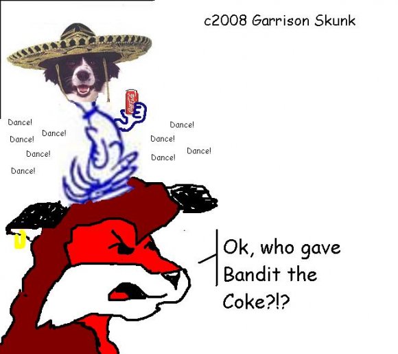 Garrisonskunk-border_collie_card_1