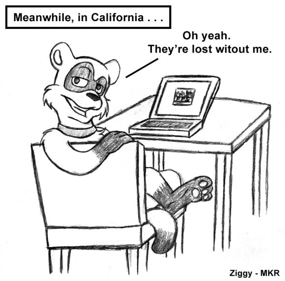 Ziggy-FundaywithoutPoink