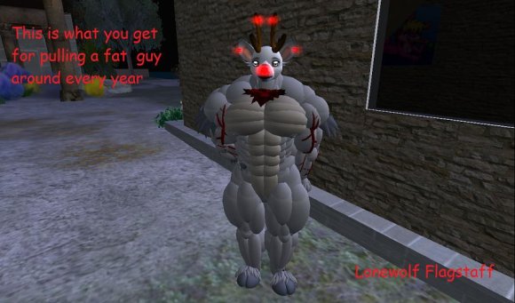 Lonewolf_Flagstaff-DEER_001