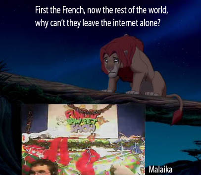 Malaika-simba-internet