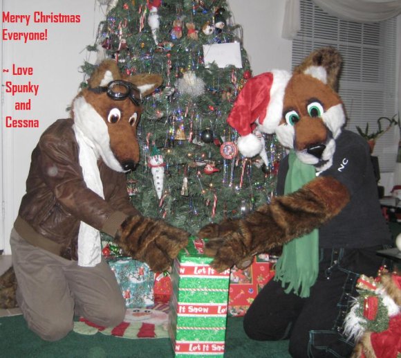 Onai_WolfWind-ToPawPets