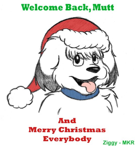 Ziggy-Funday_xmasMutt