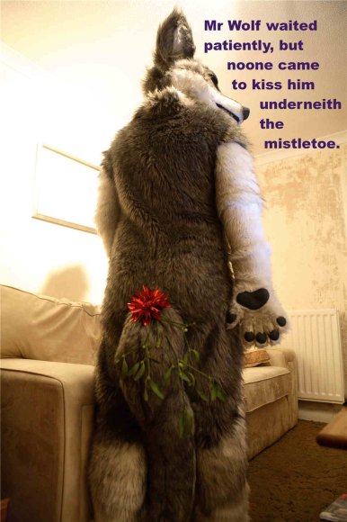 Mr_Wolf-mistletoe