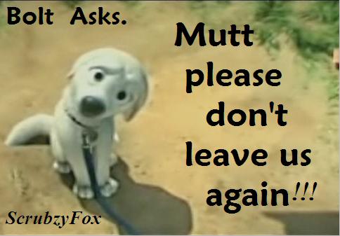 ScrubzyFox-bolt_to_mutt