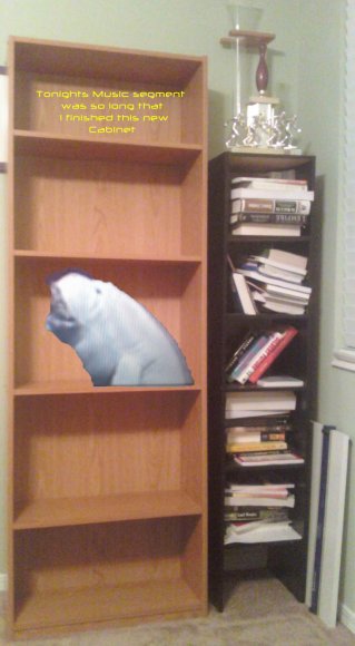 Rasvar-bookcase