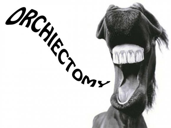 Anon-fps_bigword_orchiectomy