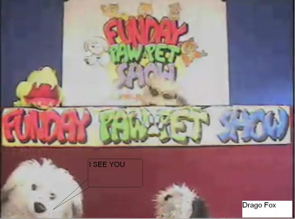 Drago_Fox-Randomness