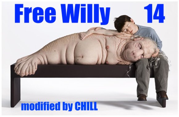Chill-Free_Willy_14