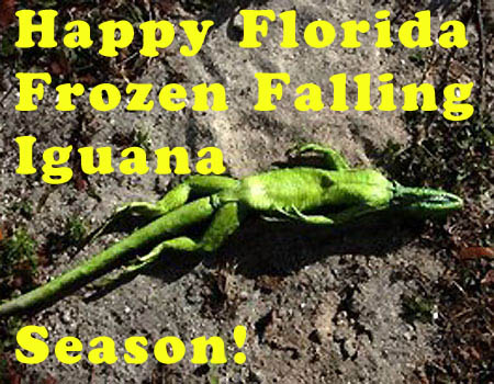 Rasvar-0_21_frozen_iguana