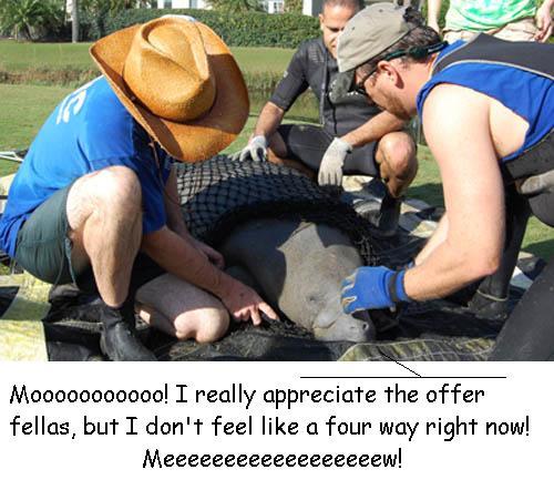 Anonymous-Hugh_doesnt_want_a_fourway