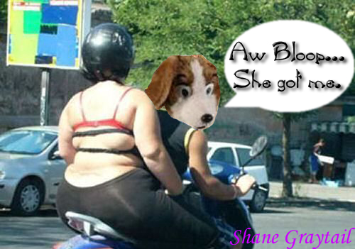 Shane_Graytail-EBBtch