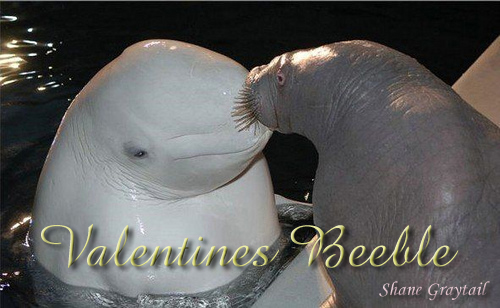 Shane_Graytail-ValBeeble