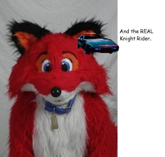 Anonymous-Yappys_Ear_6