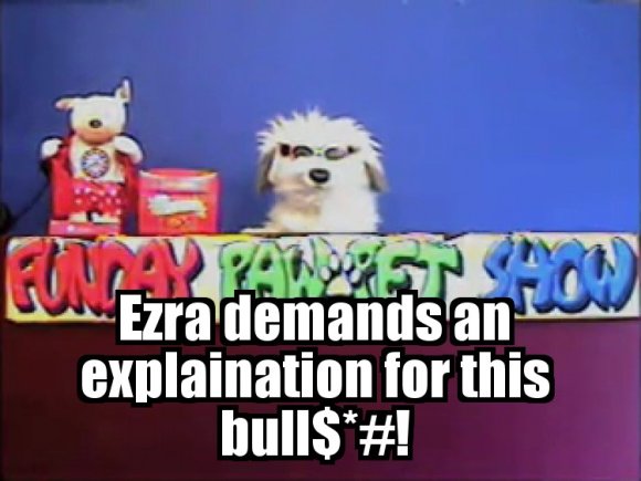 Tigron-lolcat9490023