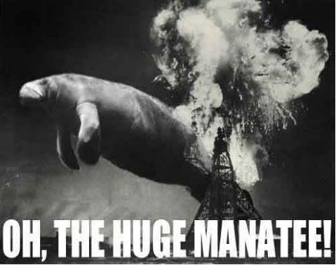 Drago_Fox-Huge_Manatee